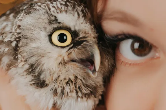 CasinoCasino Kazino Pagalba